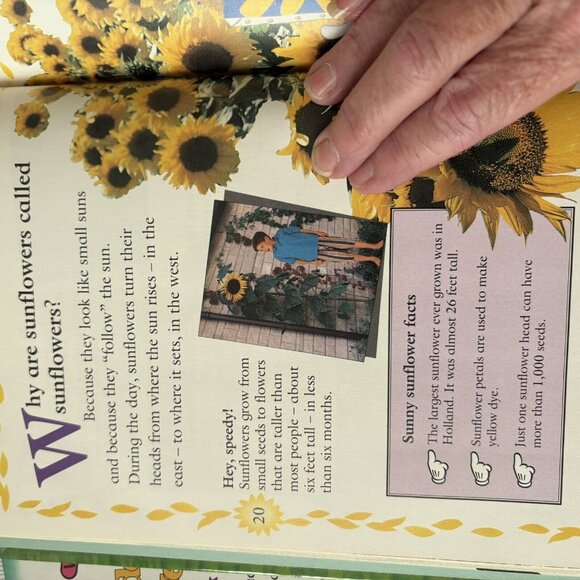 Disney Mickey Wonders Why Hardbacks 11 Books Vintage 1992 USA HomeSchool Mouse - Picture 11 of 15